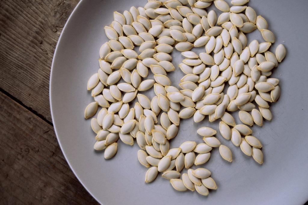 Round Zucchini Seeds 5pcs Repacked | Heirloom Summer Squash | Home Garden Vegetable Seeds