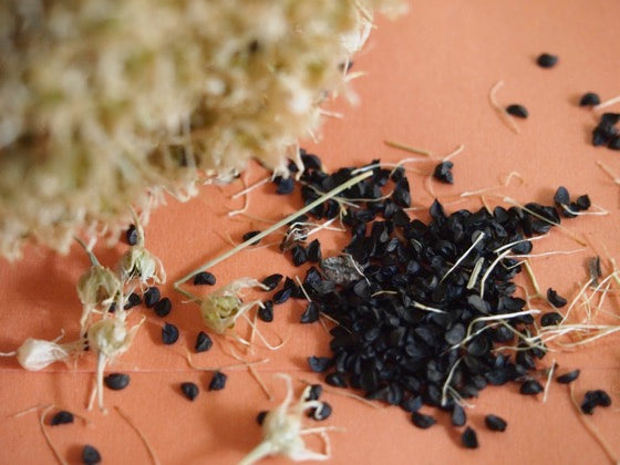 Scallion Seeds – 300 Repacked Premium Seeds for Home Garden