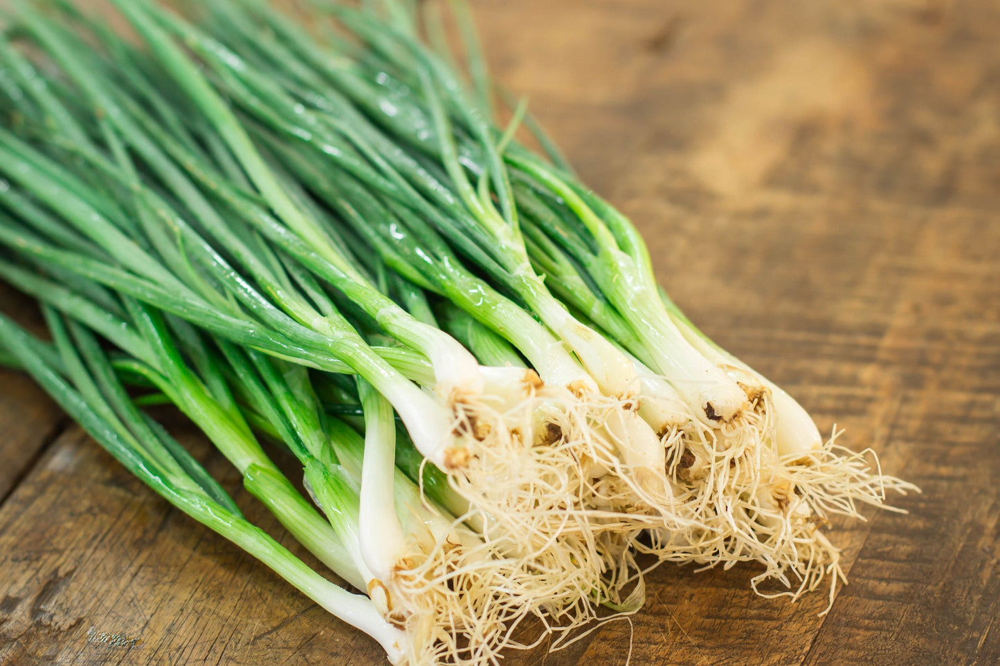 Small Spring Green Onion Seeds – Fresh, Crisp Green Onions (400 Seeds)