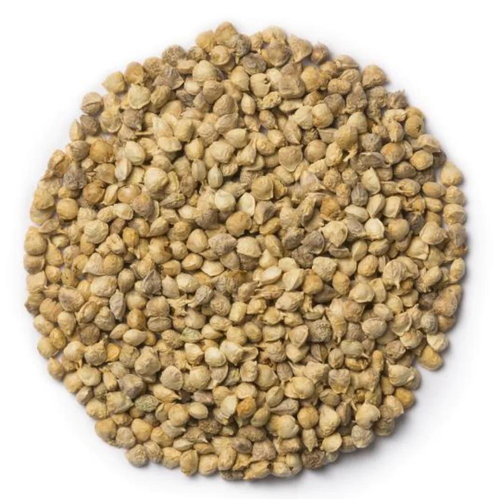 Spinach Seeds – 500 Repacked Seeds | Nutritious, High-Yield Variety | Easy to Grow for Home Gardens