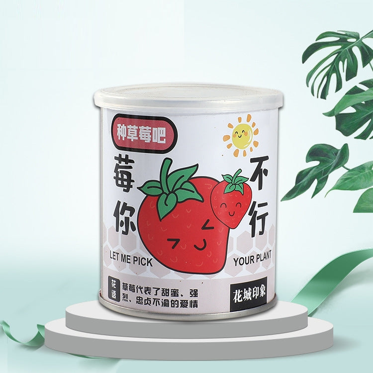 DIY Office Desk Mini Potted Decoration Plants | Rustic Farmhouse Home & Office Decor