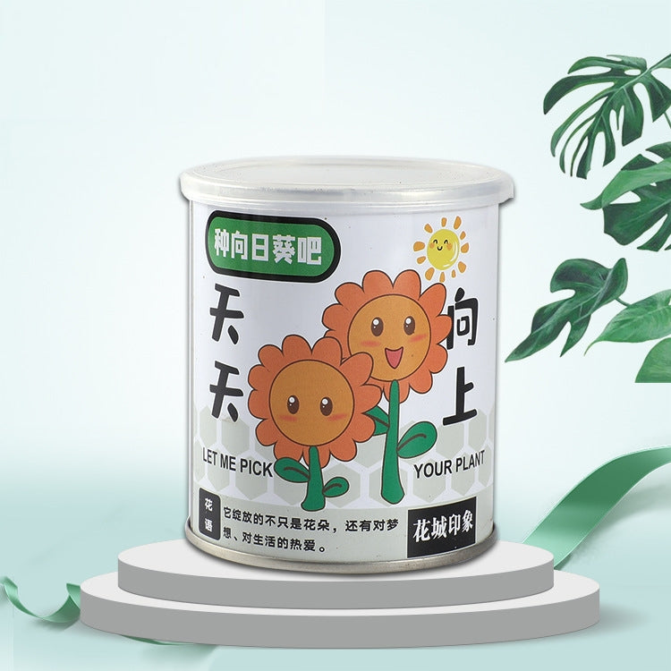 DIY Office Desk Mini Potted Decoration Plants | Rustic Farmhouse Home & Office Decor