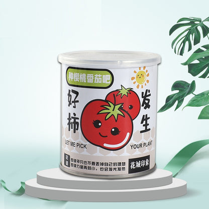 DIY Office Desk Mini Potted Decoration Plants | Rustic Farmhouse Home & Office Decor