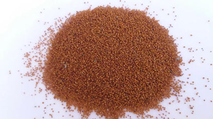 Watercress Seeds 1000pcs – Healthy Fast-Growing Vegetable for Home Gardens