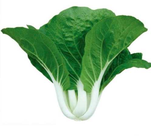 White Pechay Seeds – 500 Repacked Seeds | Fast-Growing, Nutritious Leafy Vegetable for Home Gardens