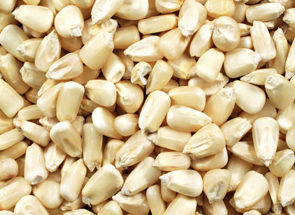 White Corn Seeds – 50 Seeds per Pack
