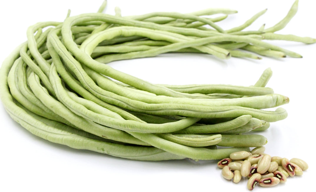 White Long Green Bean Seeds – 20 Repacked Seeds | High-Yield, Nutritious Vegetable for Home Gardens