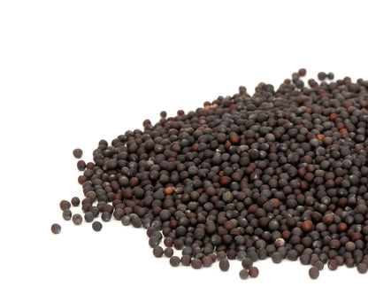 Choy Sum Seeds – 1000 Repacked Seeds | Fast-Growing, Nutritious Leafy Vegetable for Home Gardens