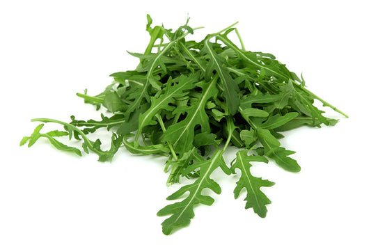 Arugula Seeds – 500 Repacked Seeds | Fast-Growing, Nutritious Leafy Green for Home Gardens