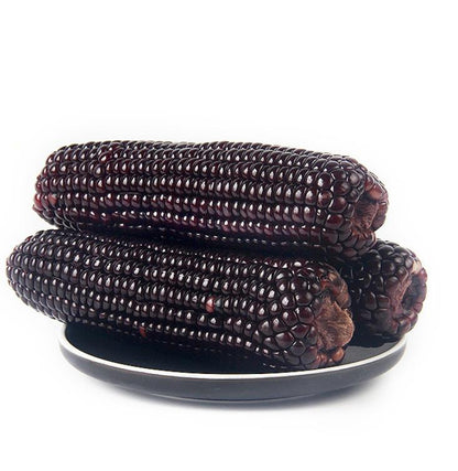 Black Corn Seeds – 50 Seeds per Pack