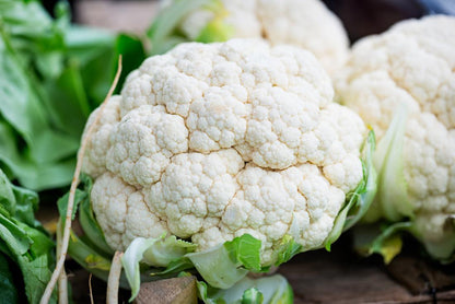 Cauliflower Seeds – 150 Repacked Seeds | Nutritious, High-Yield Variety with Compact White Heads | Easy to Grow for Home Gardens