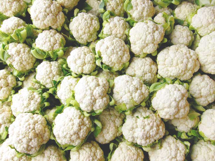 Cauliflower Seeds – 150 Repacked Seeds | Nutritious, High-Yield Variety with Compact White Heads | Easy to Grow for Home Gardens