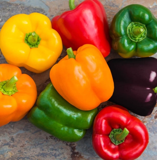 Rainbow Bell Pepper Seeds (50 seeds) – Colorful Mix, Sweet & Crisp, Easy to Grow