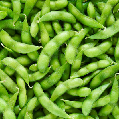 Edamame Seeds – Fresh Soybeans for Home Garden | 20 Seeds