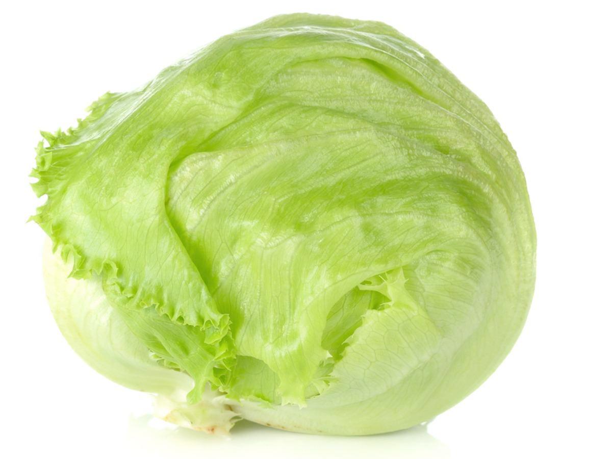 Iceberg Lettuce Seeds 1500 Seeds Pack – Crisp Head Lettuce for Home Gardens