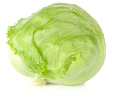 Iceberg Lettuce Seeds 1500 Seeds Pack – Crisp Head Lettuce for Home Gardens