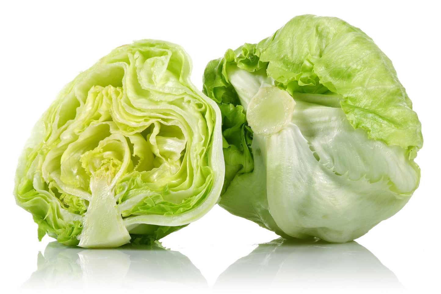 Iceberg Lettuce Seeds 1500 Seeds Pack – Crisp Head Lettuce for Home Gardens