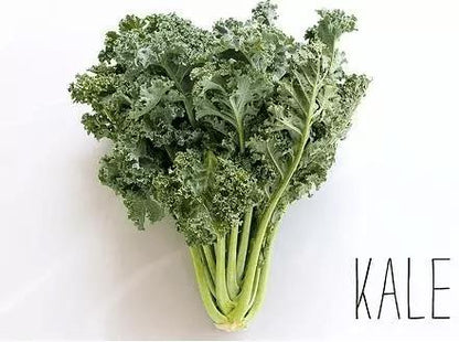Kale 100 Seeds