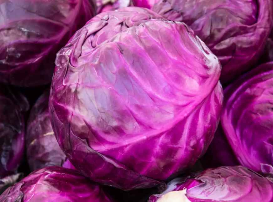 Purple Repolyo Seeds 100 Seeds – Easy to Grow Home Garden Vegetable