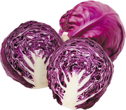 Purple Repolyo Seeds 100 Seeds – Easy to Grow Home Garden Vegetable