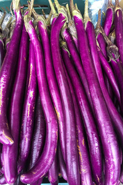 Ping Tung Eggplant – 50 Seeds (Repacked)