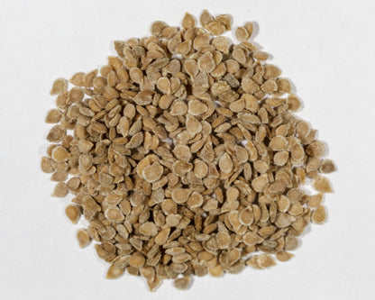 Black Cherry Potted Tomato Seeds – 50 Repacked Premium Seeds for Home Garden