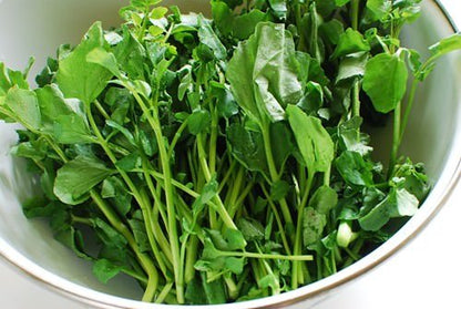 Watercress Seeds 1000pcs – Healthy Fast-Growing Vegetable for Home Gardens