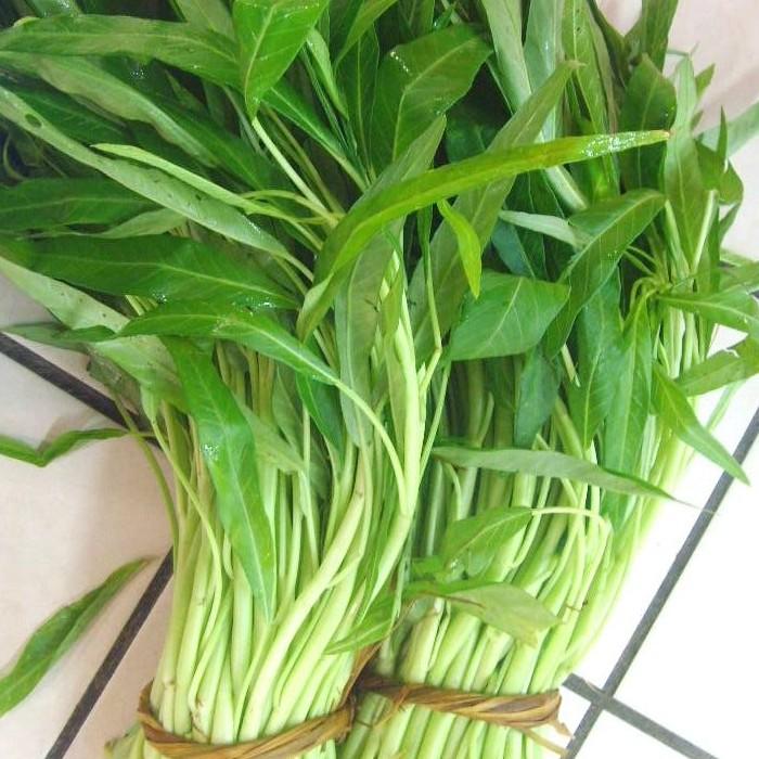 White Stem Kangkong Seeds – 50 Repacked Seeds | Nutritious, Fast-Growing Greens for Home Gardens