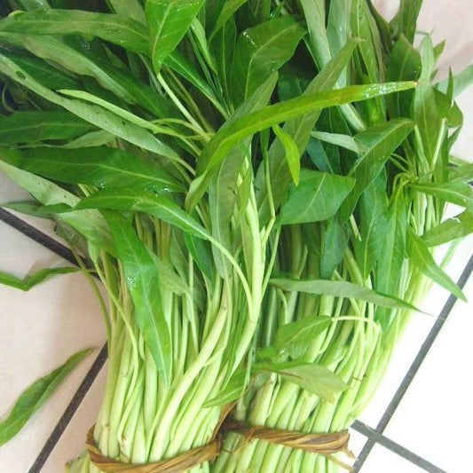 White Stem Kangkong Seeds – 50 Repacked Seeds | Nutritious, Fast-Growing Greens for Home Gardens